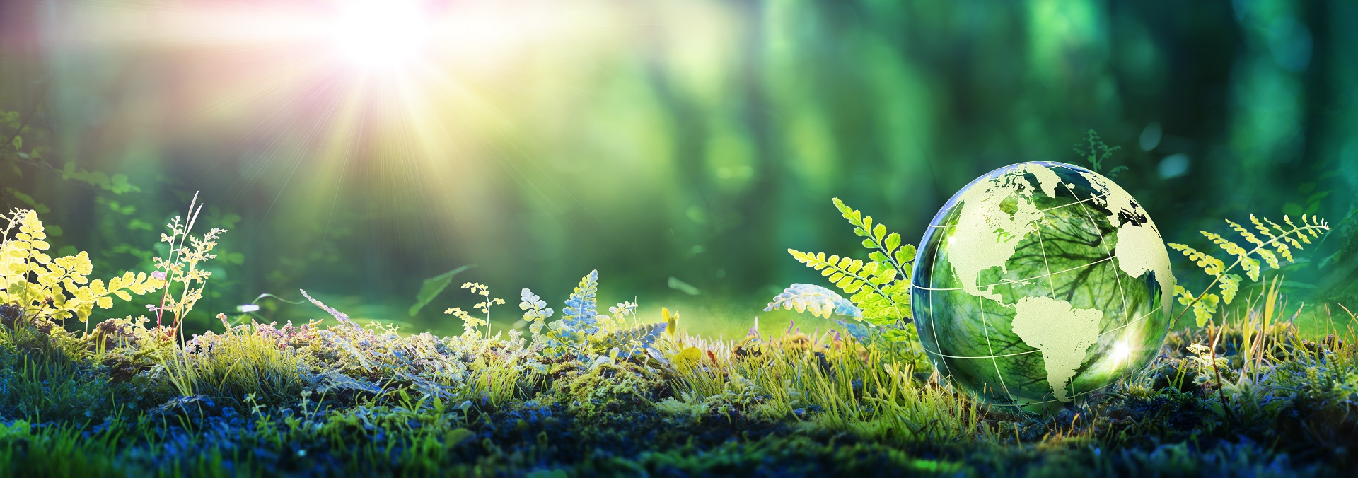 climafarming-unterseiten-titelbild.12.607d656fa391f